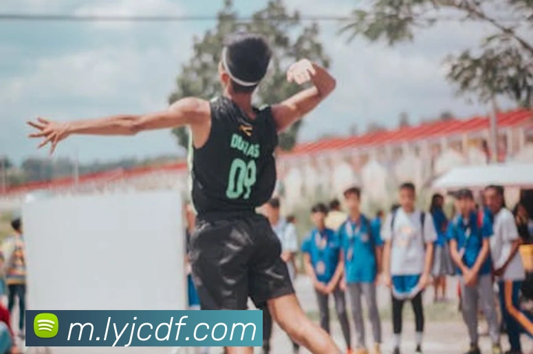 巅峰国际平台生态图